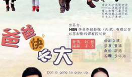 成长 电视剧,青春岁月里的梦想与奋斗