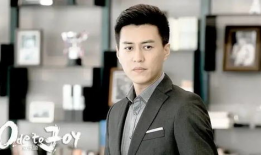 靳东演的电视剧,从职场精英到情感纠葛的蜕变之路