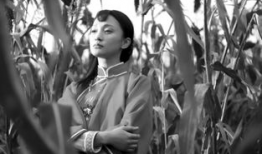 红高梁电视剧,烽火岁月里的家国情怀